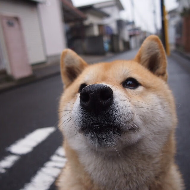 开云体育登录-火箭升空掀翻独行侠，文班亚马成无解杀器，未来已来？